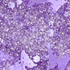 Nail polish swatch of shade Revel Lilac 3 - Tranquility