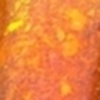 Nail polish swatch of shade Vanessa Molina Carved Pumpkin