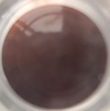 Nail polish swatch of shade Looky Hot cacao