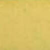 Nail polish swatch of shade Nail pollies You're so mangonificent