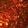 Nail polish swatch of shade Fancy Gloss Autumn Winds