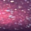 Nail polish swatch of shade Monarch Lacquer Venetian Charm