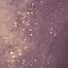 Nail polish swatch of shade Hard Candy Drop Out