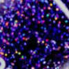 Nail polish swatch of shade Starrily Star Crossed