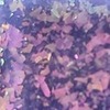 Nail polish swatch of shade Emily de Molly A Spot In The Woods