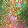Nail polish swatch of shade Sassy Sauce Green Goddess