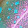 Nail polish swatch of shade Sassy Sauce Glimmer