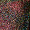 Nail polish swatch of shade Holo Taco Precious Cargo