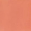 Nail polish swatch of shade Urban Outfitters Terracotta