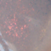Nail polish swatch of shade essence Grey-t to be Here