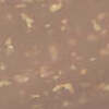 Nail polish swatch of shade OPI Infinite Shine Track suited cutie
