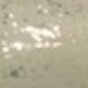 Nail polish swatch of shade Dvok Dg21