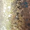 Nail polish swatch of shade Maybelline Gilded Rose