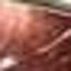 Nail polish swatch of shade LA Colors Color Craze Cinnamon