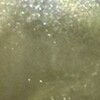 Nail polish swatch of shade LA Colors Color Craze Succulent Shimmer