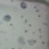 Nail polish swatch of shade Pure Ice Cookies ‘N' Cream