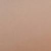 Nail polish swatch of shade Adesse Bellini