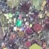 Nail polish swatch of shade Revel Revelist Club 2025 August 2