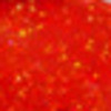Nail polish swatch of shade L.A. Colors Flamenco