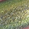 Nail polish swatch of shade Inspired Sense Dream Weaver