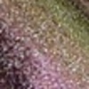 Nail polish swatch of shade Inspired Sense Winter Kisses