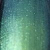 Nail polish swatch of shade Inspired Sense I Feel Pine