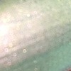 Nail polish swatch of shade Inspired Sense Whispering Springs
