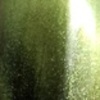 Nail polish swatch of shade Inspired Sense Pine and Dandy