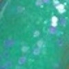 Nail polish swatch of shade Cadillacquer Keep Breathing
