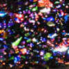 Nail polish swatch of shade Holo Taco Trick Or Trash