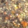 Nail polish swatch of shade Tyler's Trinkets Gold in Them-Their Hills
