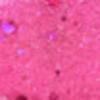 Nail polish swatch of shade Tyler's Trinkets Certified Pink Hater