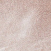 Nail polish swatch of shade MiniLuxe Champagne