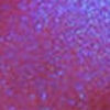Nail polish swatch of shade Polished for Days Boo Berry