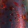 Nail polish swatch of shade Sassy Sauce Polish I Just Blue Into Town