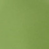 Nail polish swatch of shade HandM Verdant vibes
