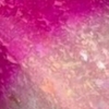 Nail polish swatch of shade Sassy Sauce Polish Strawberry Shortcake