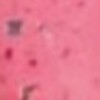 Nail polish swatch of shade Revel 2026 Spring Freebie 2