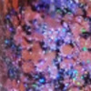 Nail polish swatch of shade Chelly Rose Stardust