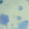 Nail polish swatch of shade Revel AC 25-8