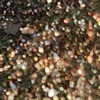 Nail polish swatch of shade Revel AC 25-22