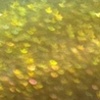 Nail polish swatch of shade Morovan Green gold duochrome
