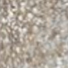 Nail polish swatch of shade FingerPaints He-Art Of Gold