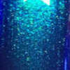 Nail polish swatch of shade LynB Designs Confabulate