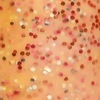 Nail polish swatch of shade Hard Candy Peach Pop